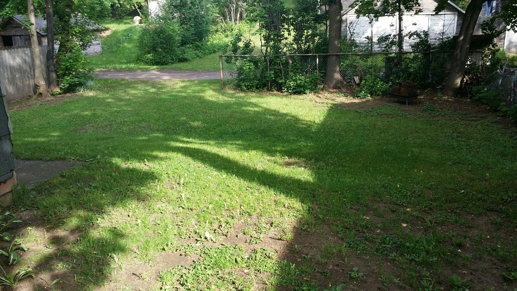 Backyard / Parking off alley